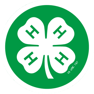 4-H Camp